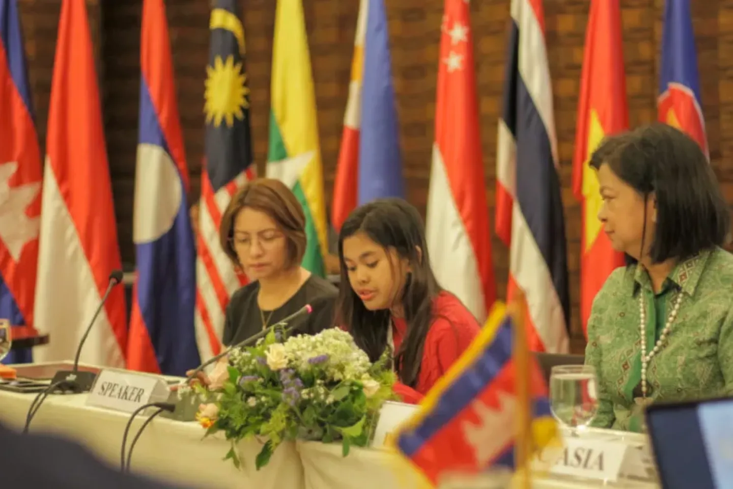 Ericka speaks at the ASEAN Dialogue on the United Nations Convention on the Rights of the Child in 2019.
